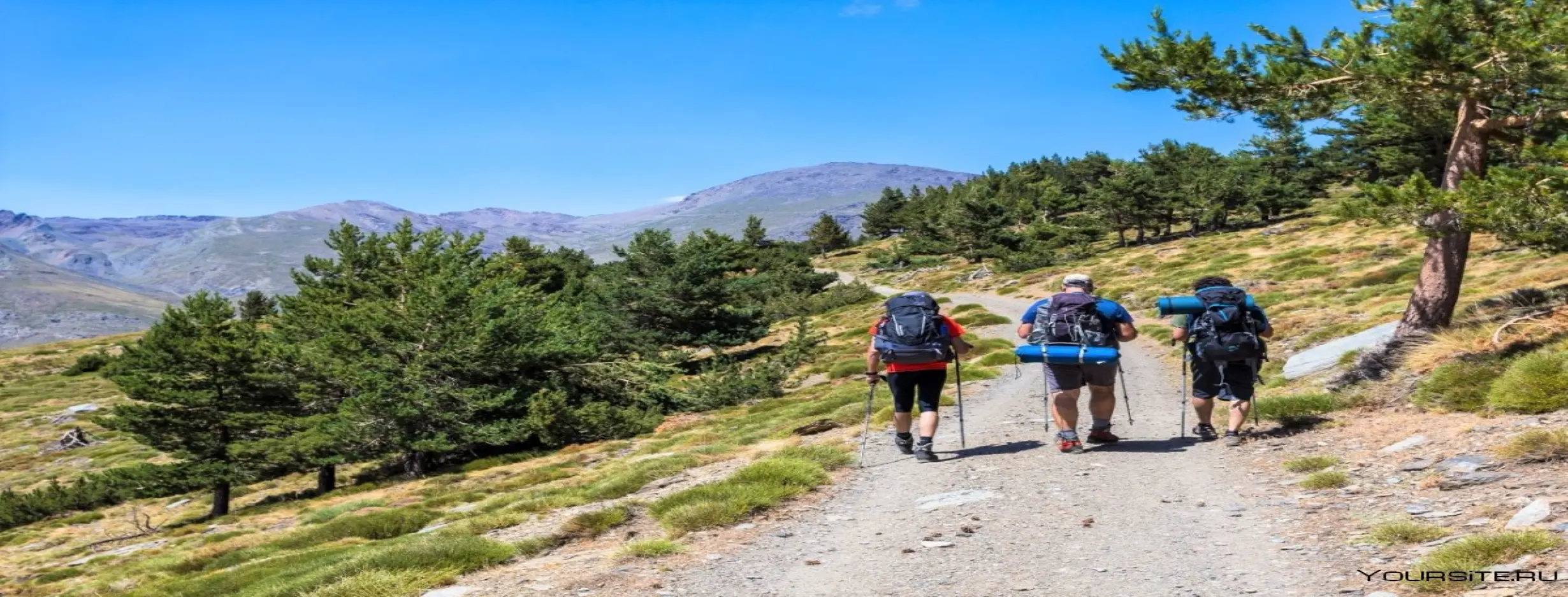 Image for Sierra Nevada Hiking